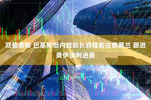双盈策略 巴基斯坦内政部长启程前往德黑兰 跟进美伊谈判进展